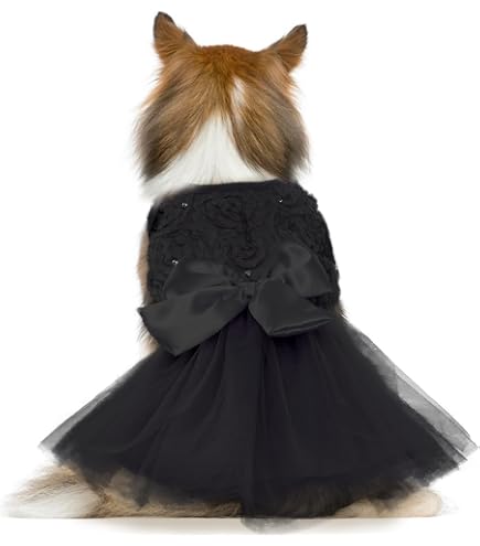 Amazon.com : Pet Dog Cat Black Dress Halloween Costume Cosplay Puppy Kitten  Coat with Belt Christmas Party : Pet Supplies