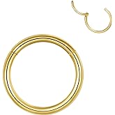 LOVEBODYJEWELRY Hypoallergenic Hinged Hoop Nose Rings 20G 18G 16G 14G 12G 10G 8G Diameter 5mm to 16mm 316L Surgical Steel Septum Ring Body Piercing Jewelry Helix Cartilage Earrings