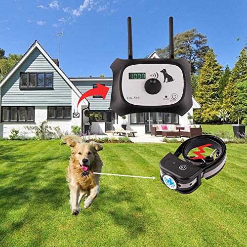 50 Best Wireless Pet Fences in 2022 PetStruggles