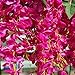 Luyue 3.18 Feet Artificial Silk Wisteria Vine Ratta Silk Hanging Flower Wedding Decor,6 Pieces,(Color-4)