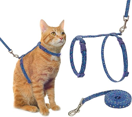 amazon cat leash