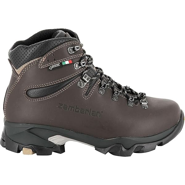 Amazon.com | Zamberlan Vioz Lux GTX RR Backpacking Boot - Women's
