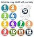 24 Stickers Pack of Premium Unisex First Year Stickers 12 Monthly Stickers and 12 Milestone Stickers Birthday Shower Gift for Boys and Girls