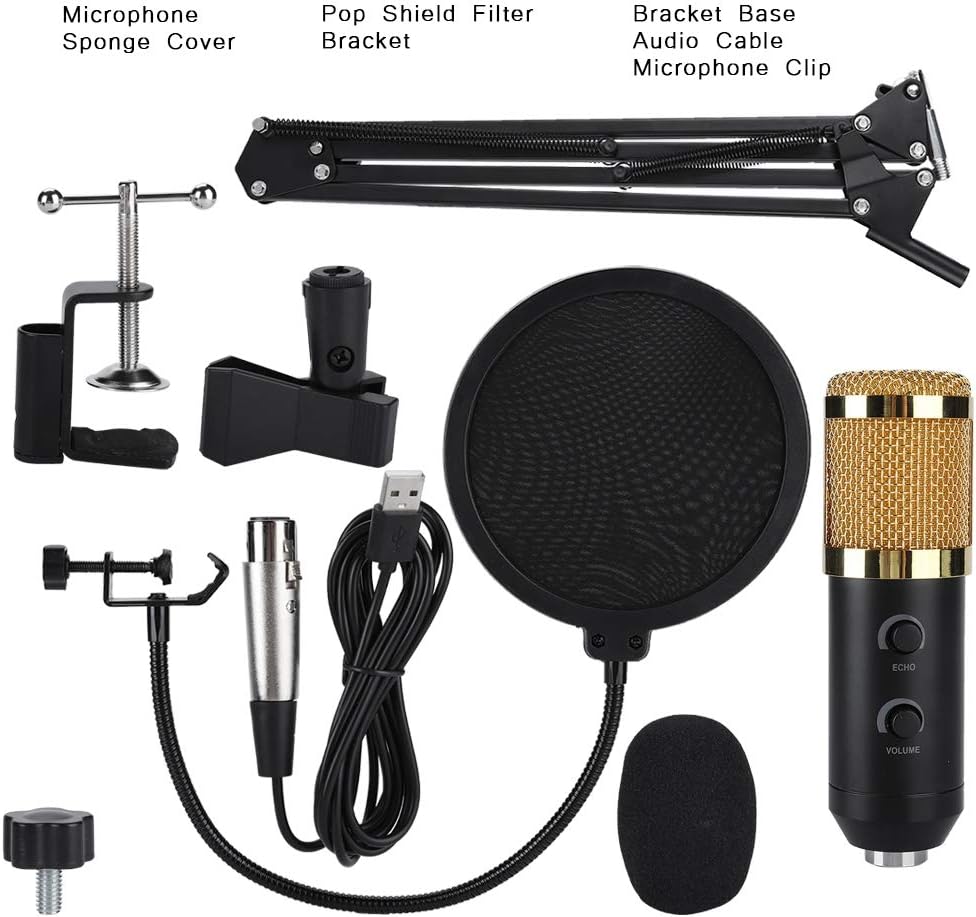 reverb microphone toy