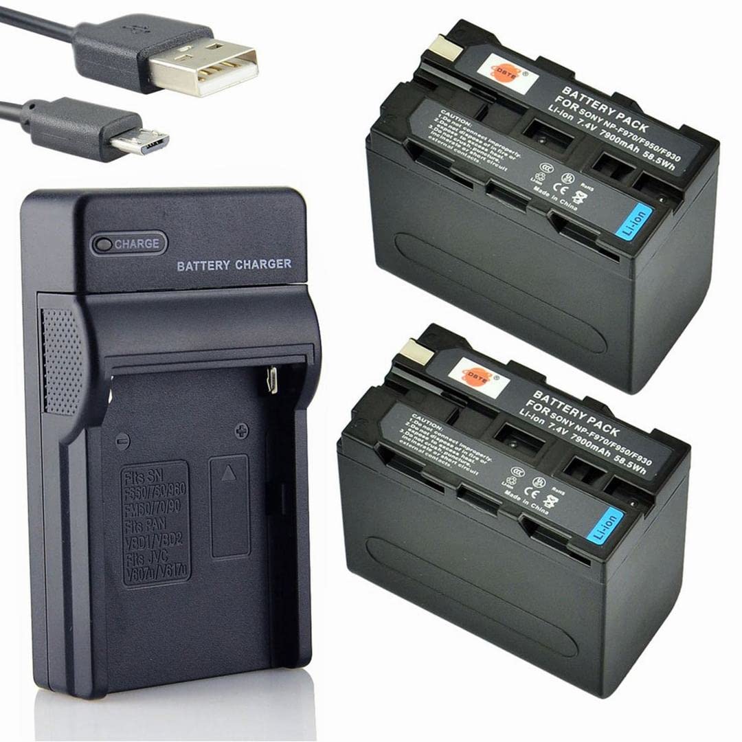 DSTE NP-F970 Li-ion Battery (2-Pack) and Micro USB Charger Suit for Sony CCD-TRV85 CCD-TRV87 CCD-TRV88 CCD-TRV90 CCD-TRV91 CCD-TRV93 CCD-TRV95 CCD-TRV98 CCD-TRV99
