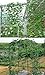 NKTM Vegetables & Fruits Nylon Trellis Support for Climbing Plants, Vine & Veggie Trellis Net, 5.9 Ft x 11.8 Ft St. Patrick's Day