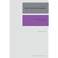 Архипелаг ГУЛАГ 1918-1956: Книга V-VII (Полное собрание сочинений в 30 томах Book 6) (Russian Edition) book cover
