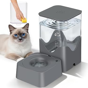 Amazon.com New Releases: The best-selling new & future releases in Cat  Fountains