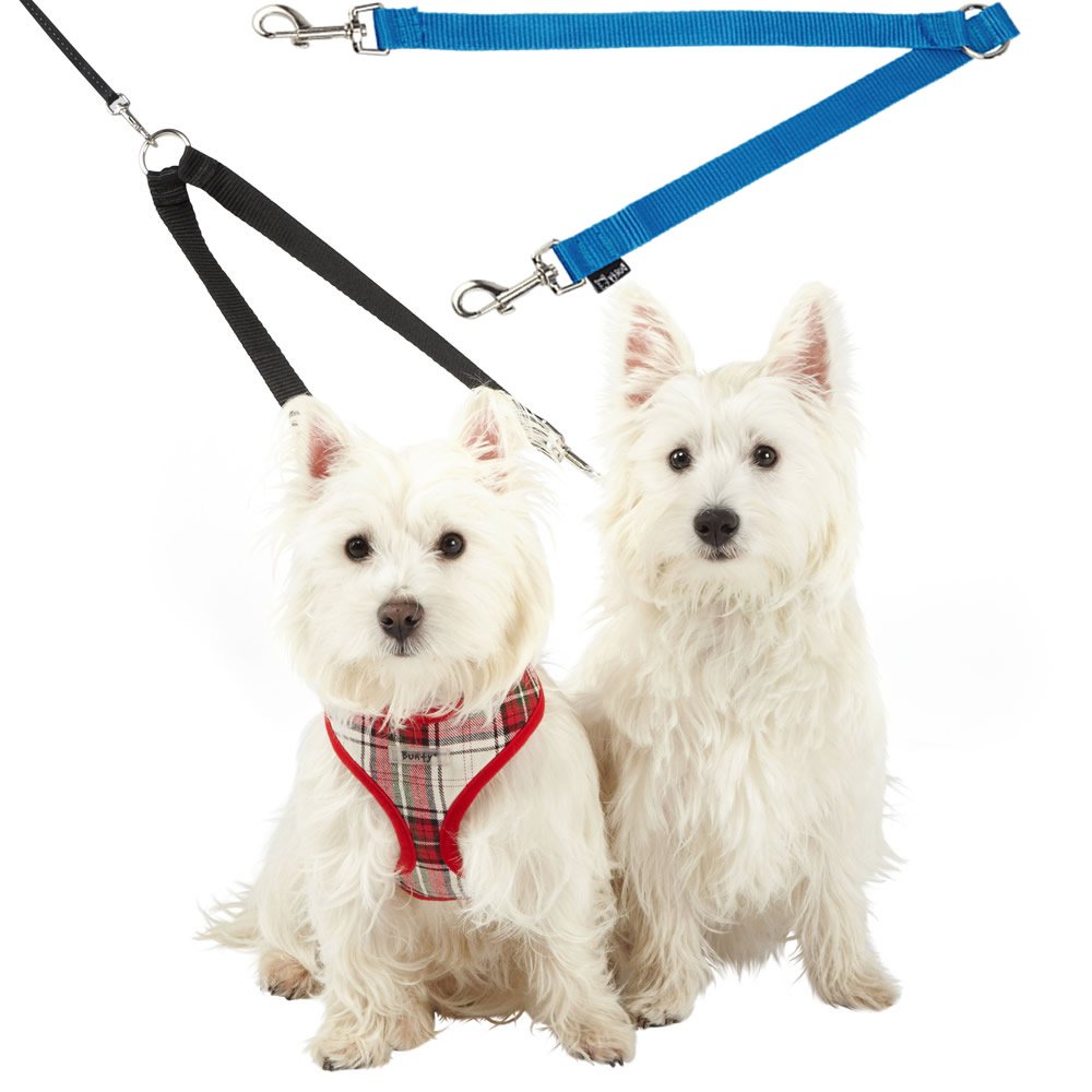 Double Dog Pet Lead Leash Splitter Coupler with Clip for Collar Harness (Blue)