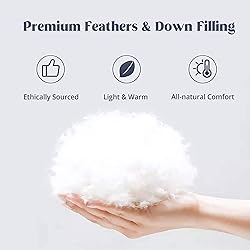 puredown® Feather and Down Comforter Twin