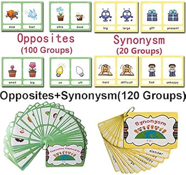 Amazon Com Abc Flash Cards 120 Groups Set Synonyms Antonyms