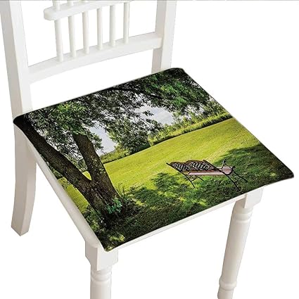 Amazon Com Premium Chair Cushion 30 X30 X2pcs Fashions