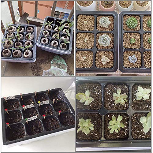 Homend 12 Sets Seed Starter Tray, 72 Holes Seed Tray Plant Germination
