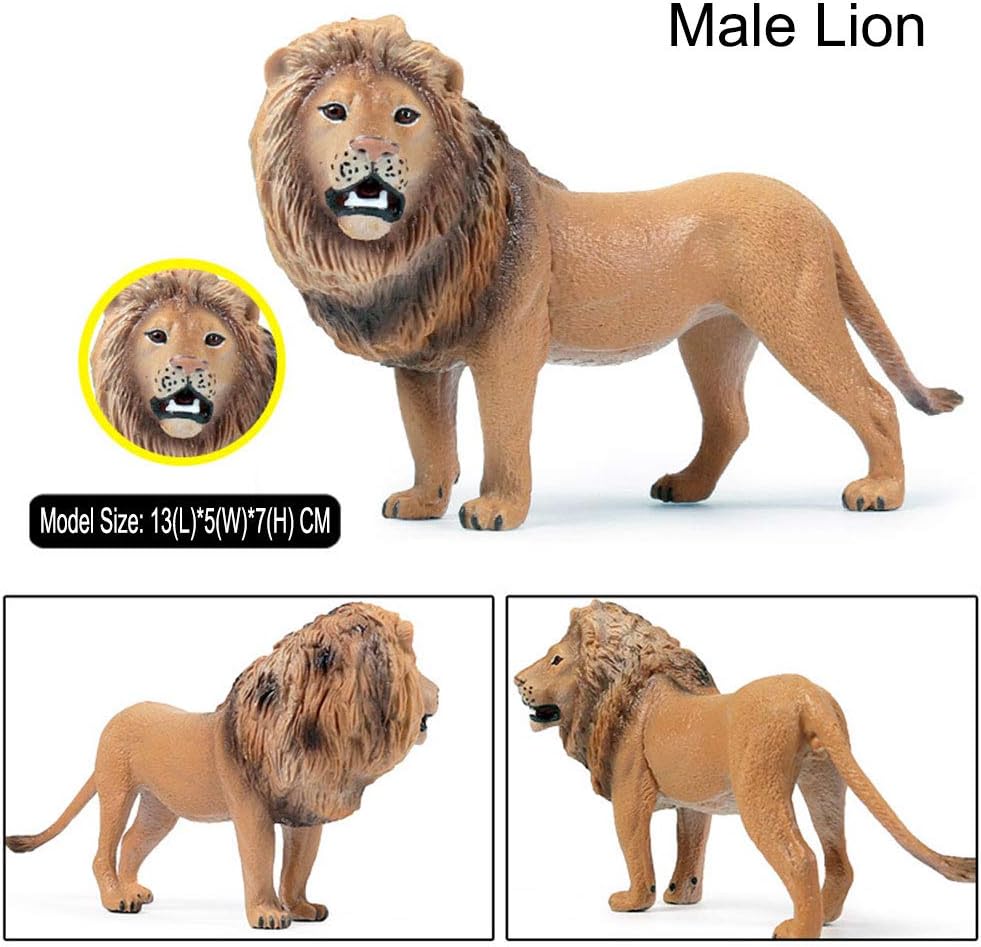 JOKFEICE Lion Toy 6pcs Realistic Wild Animal Figures, Plastic Jungle Animal Learning Educational Bath Toys - Image 4