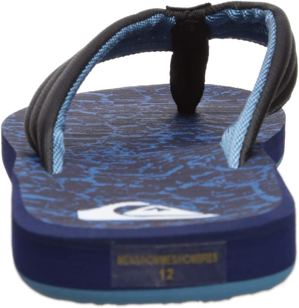 Quiksilver Men's Carver Print Sandal: Quiksilver: Shoes