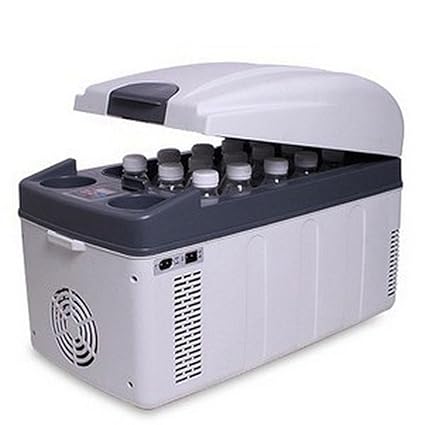 Amazon.es: GEGEQUNAERYA Refrigerador de coche (20 l/doble chip ...