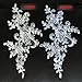 2 Pcs Raw White Flower Lace Patches for Wedding Dress DIY Clothing Flower Applique Collar Material
