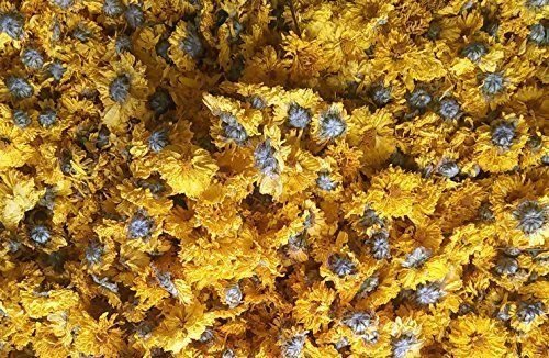 700 Gramm Kräutertee gelbe Chrysantheme getrocknete Blume 100% natürliches Kraut genossen von Kaiser im alten China