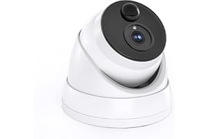 Swann Add-On DVR Dome Security Camera System with 1080p Full HD Video, Indoor or Outdoor Design Plus True Detect Heat and Motion Detection