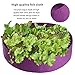 Okngr Fabric Raised Bed, 50 Gallon Grow Bags Fabric Bed Planting Bag Aeration Fabric Pots Breathable Planting Pouch Container for Plants Flowers Vegetables Herb, 50 Gallon, Purplethumb 4
