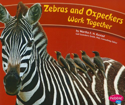 Zebras and Oxpeckers Work Together (Animals Working Together)