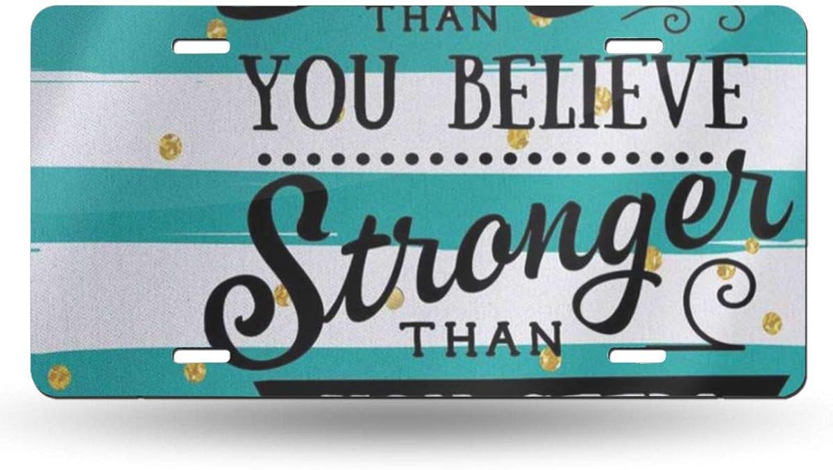 others Cool Metal License Plate, Inspirational Quote