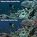 CamKix Diving Lens Filter Kit Compatible with GoPro Hero 5 and Hero 4 Session Camera - Enhances Colors for Various Underwater Video and Photography Conditions