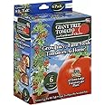 Spring River Nurseries GA-TGIANT06 Gardeners' Choice Giant Tomato Tree