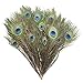 Piokio 100 pcs Natural Peacock Feathers in Bulk 10-12 inch(25-30 cm) Bulk for DIY Craft, Wedding, Mardi Gras Decoration