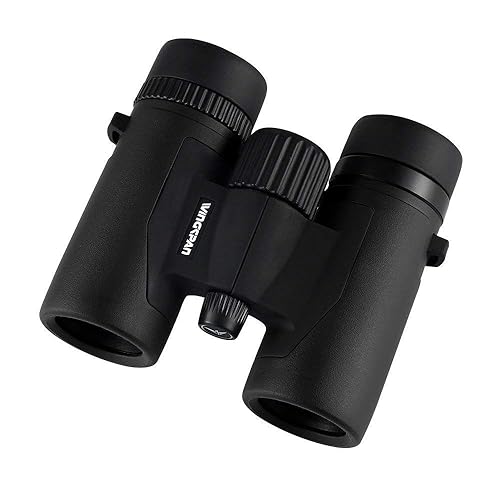 10 Best Compact Binoculars of 2019 Buyer's Guide & Reviews