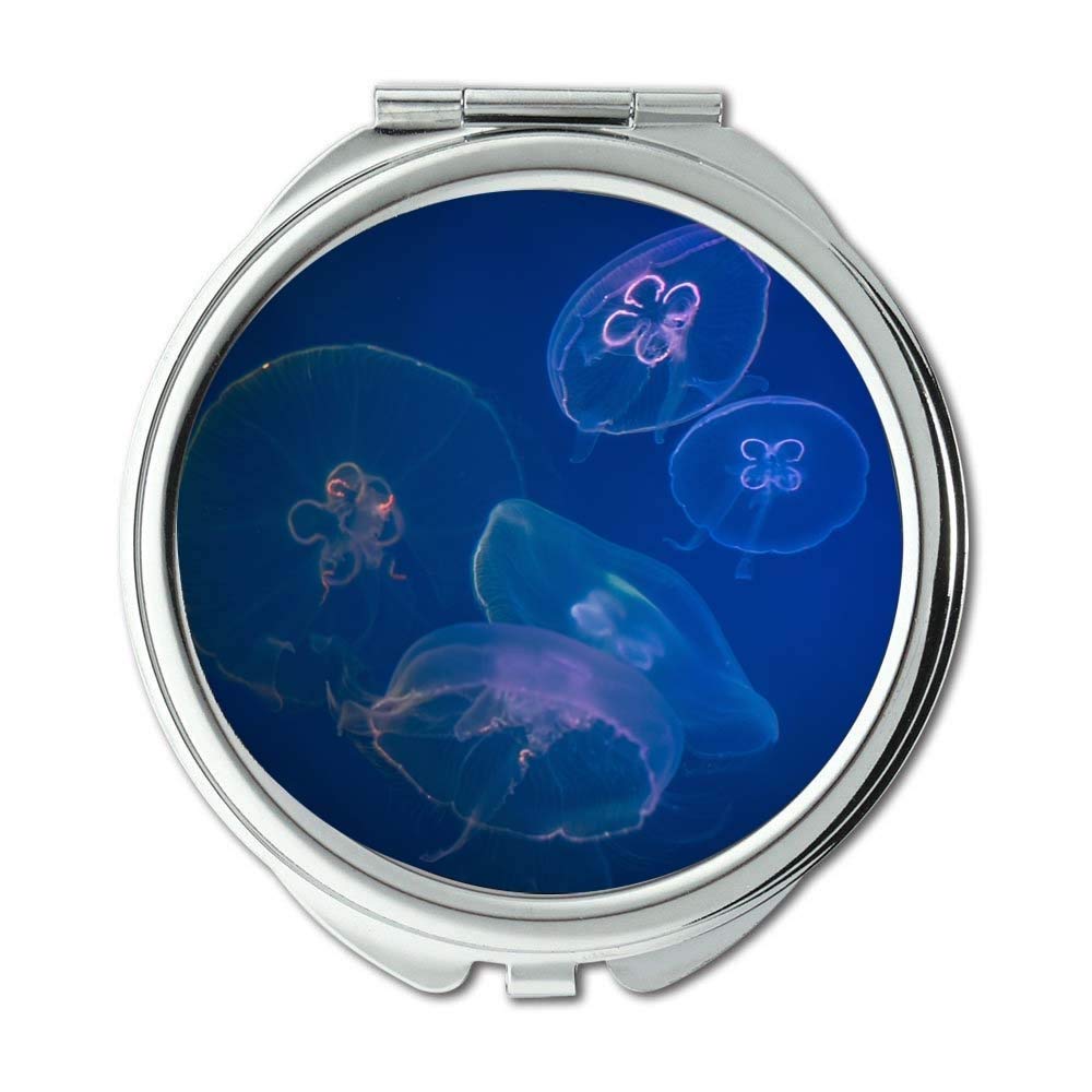 Mirror,makeup mirror,abstract animal aquarium,pocket mirror,portable mirror
