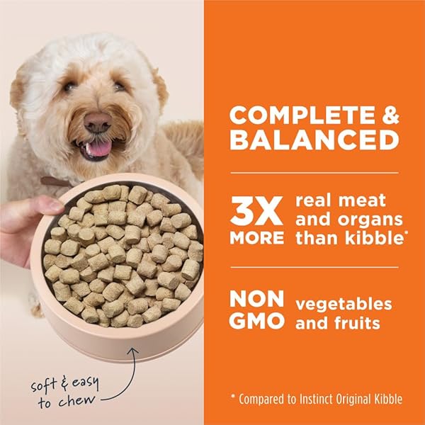 RAW MEALS FREEZE-DRIED BEEF DOG FOOD, 9.5 OZ. BAG