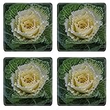 MSD Square Coasters Non-Slip Natural Rubber Desk