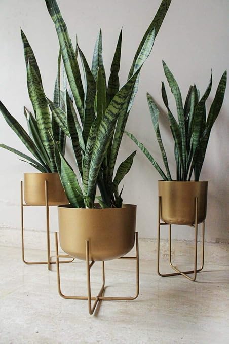 TRUPHE Metal Pot with Plant Stand, Golden, Standard, 3 Piece