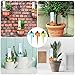 Lonfenner Self Watering Spikes 6PCS Plant Watering Devices Automatic Watering Device with Slow Release Control Valve Switch, Automatic Irrigation Equipment with No Leak for Garden, Home and Vacation