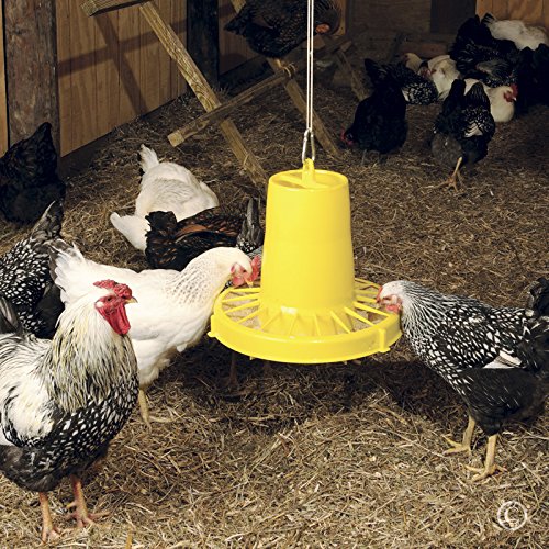 Saturn 15 Poultry Feeder - 15 lb.