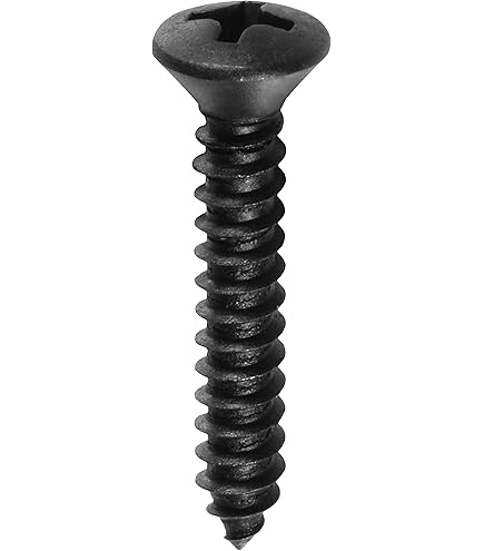 Amazon.com: 100#6 X 1 Phillips Oval Head Tapping Screw Black Oxide
