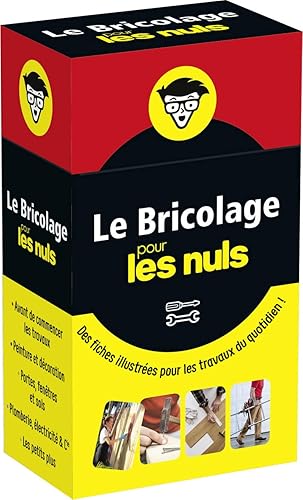 Download Boîte à fiches - Le Bricolage pour les Nuls - Des fiches illustrées pour les travaux du quotidien PDF