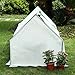 CO-Z Portable Greenhouse Mini Hot House with PE and Non-Woven Cover, Waterproof Cloche Greenhouse and UV Protected Greenhouse Tent, 5.9 x 3.0 x 3.0 Feet.