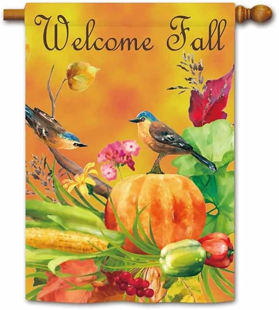 fall flags 28x40