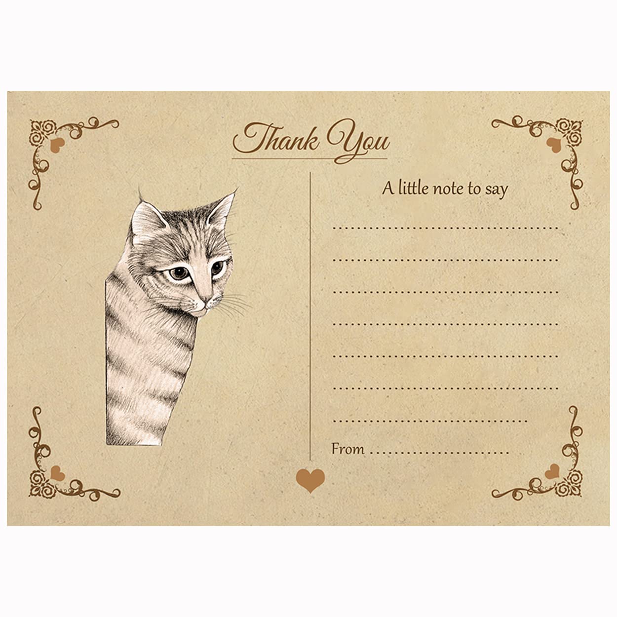 Artstore Vintage Kitten Thank You Note Cards With Brown Kraft Envelopes - Pack of 15