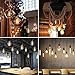 Vintage Edison Bulbs Elfeland G80 40W 110V Antique Retro Incandescent Dimmable Light Bulb Squirrel Cage Filament Light Bulb for Home Light E26/E27 Base (4 Pack)