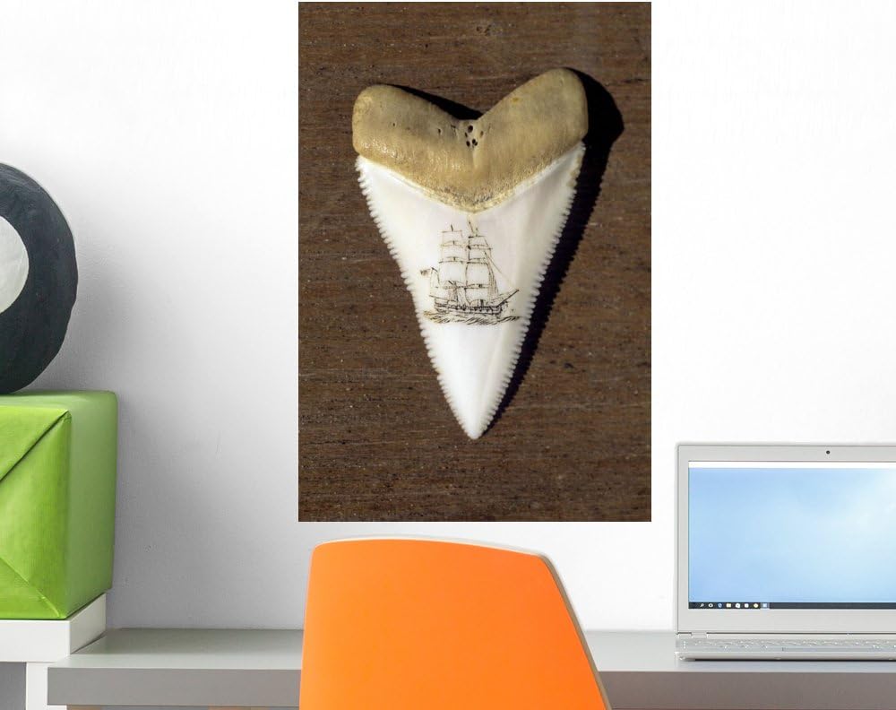Wallmonkeys A Scrimshaw Carving on a Great White Shark Tooth Wall Decal Peel and Stick Graphic WM160094 (18 in H x 12 in W)