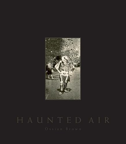 Download Haunted Air PDF