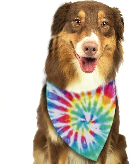 dogs accessories amazon