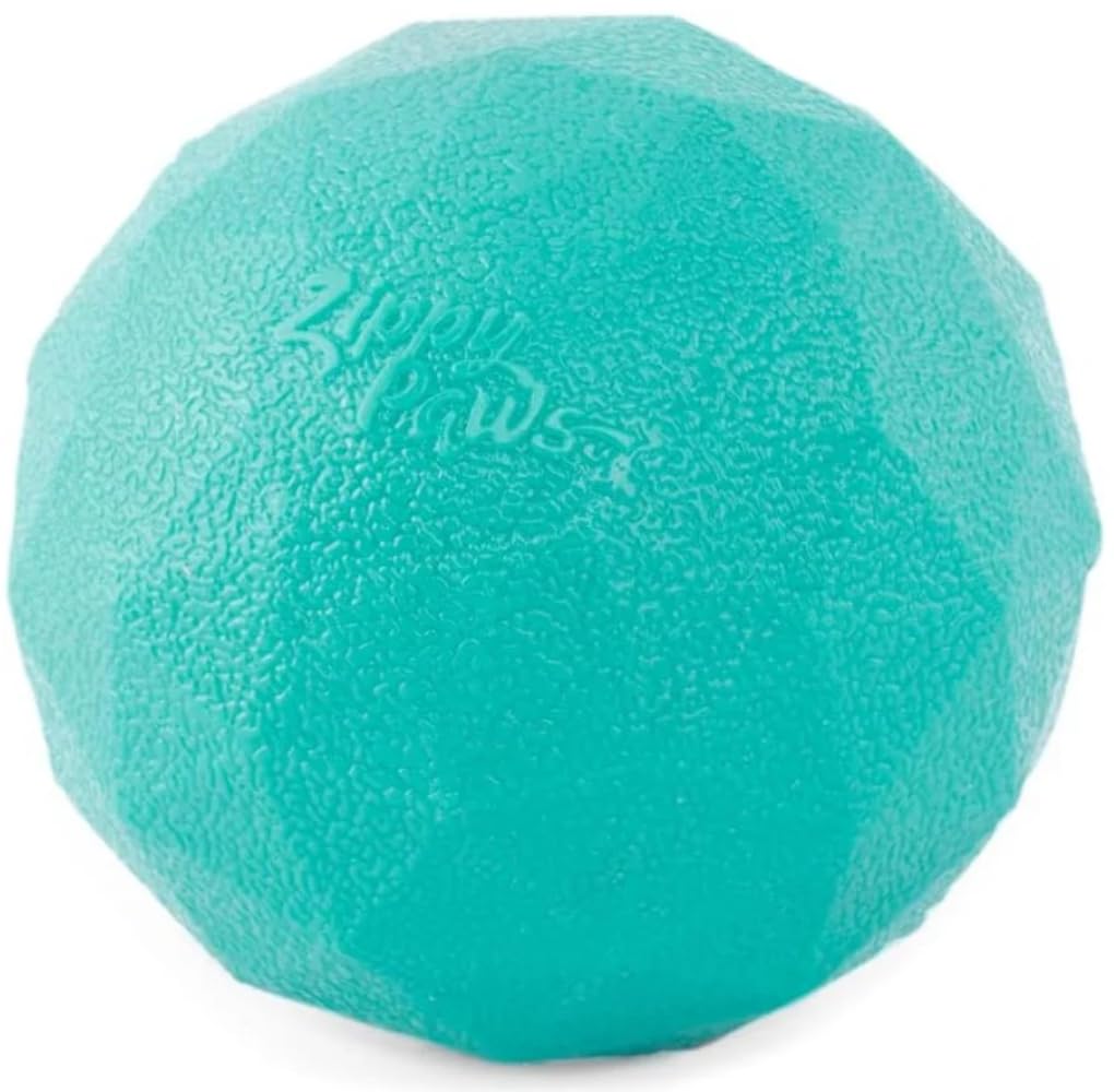 ZippyPaws ZippyTuff Waggle Ball - Dog Ball That Makes a Funny Noise When Rolled for Indoor and Outdoor Engaging and Interactive Play, Durable and Tough Dog Toy, Turquoise