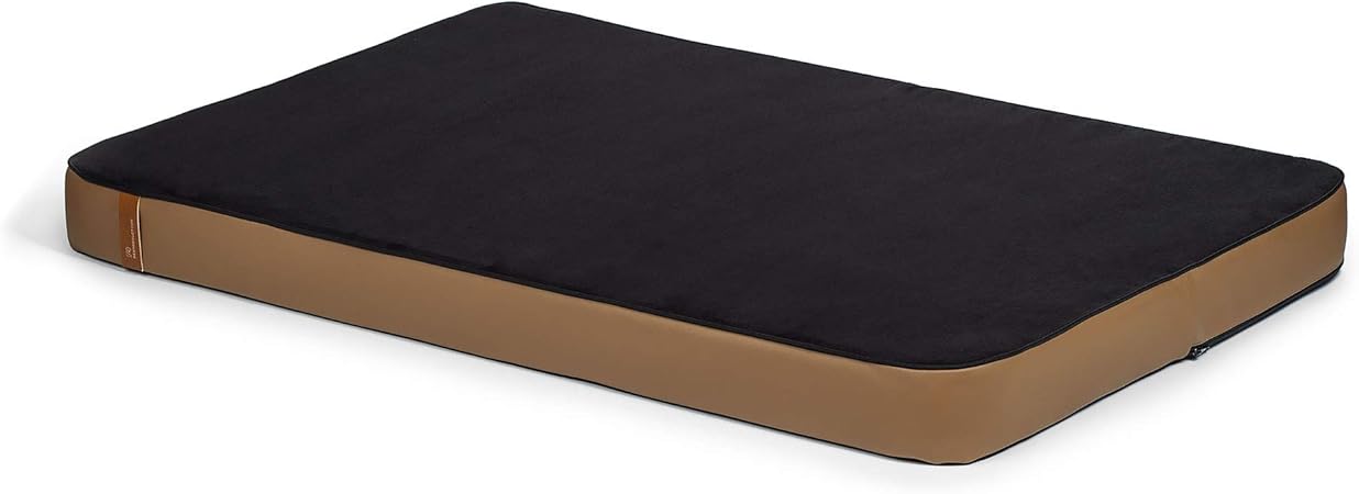 ace ventura pet detective 1994