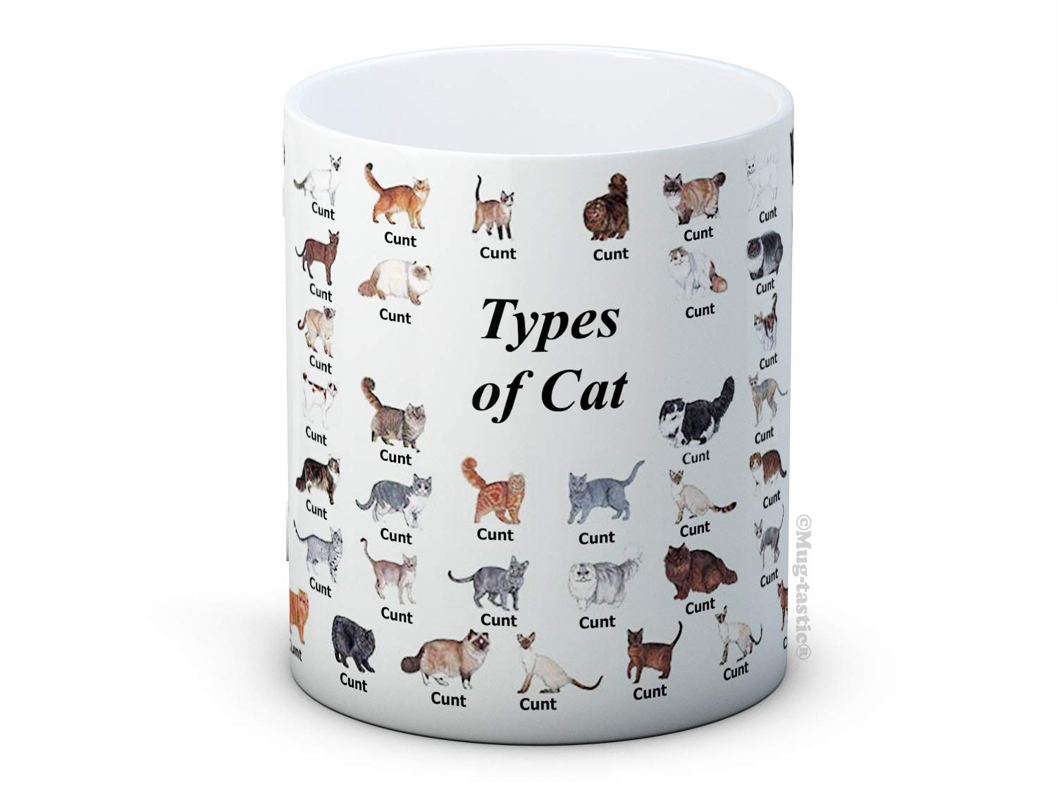 Types of Cat - Cat Breeds (They're All C*NTS) - Rude Funny Ceramic Coffee Mug