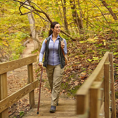 Brazos Free Form Natural Hardwood Root Handcrafted Walking Cane, 37 Inch