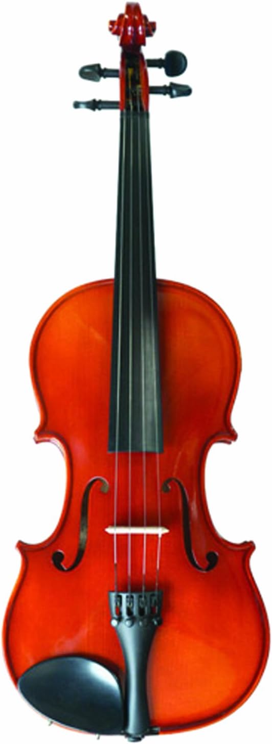 Nagoya Suzuki #220 Violin Outfit, 1/16